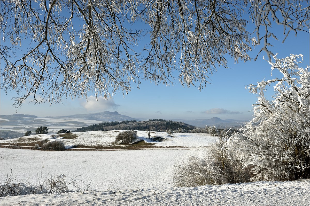 comp DSC 2387