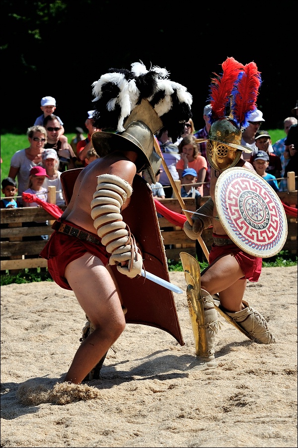comp DSC 2414