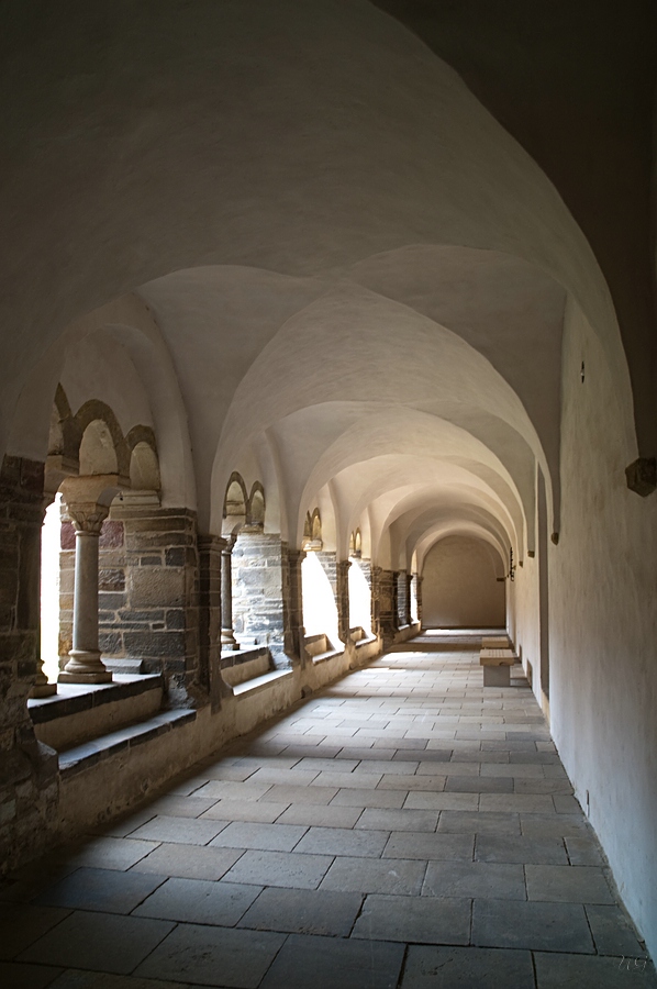 comp DSC 2420 bearbeitet 2