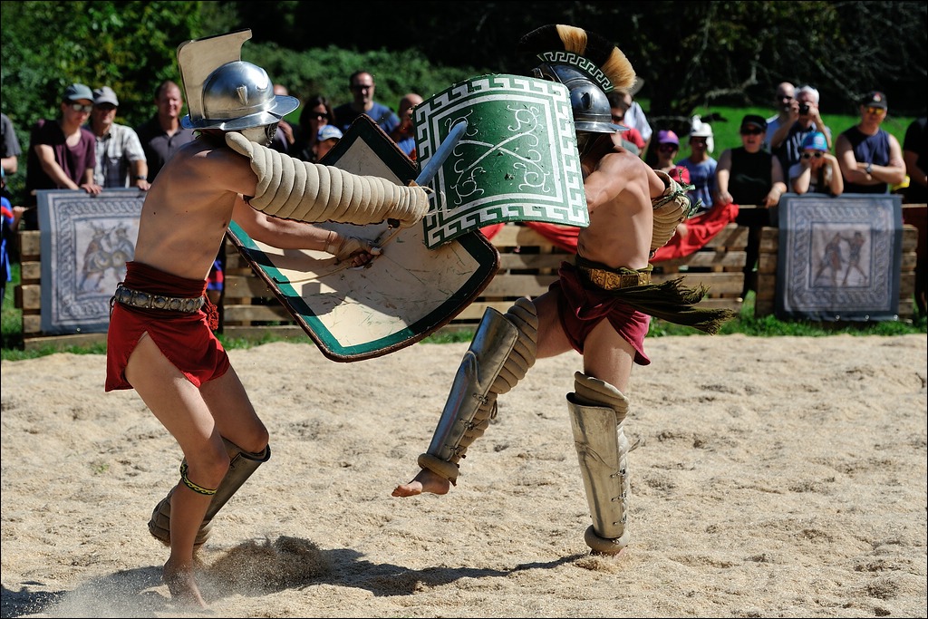comp DSC 2458