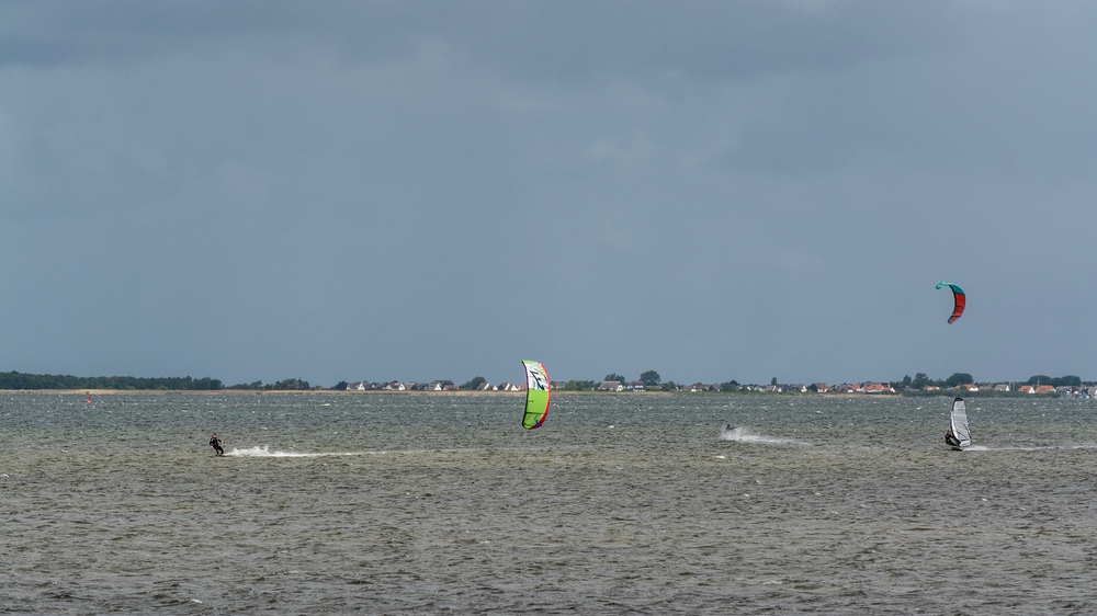 comp DSC 2536123