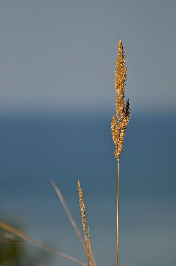 comp DSC 2549p 2