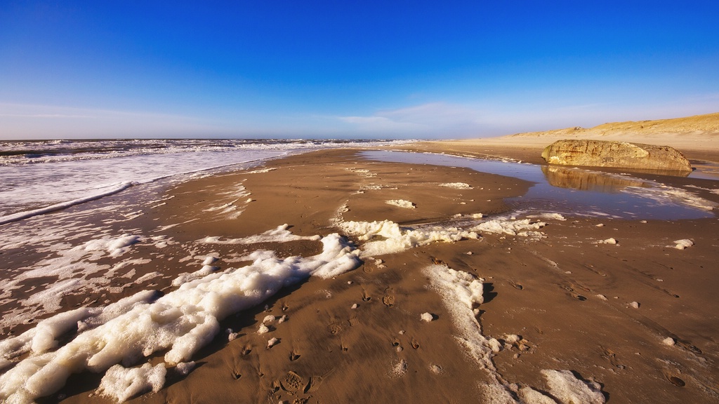 comp DSC 2632