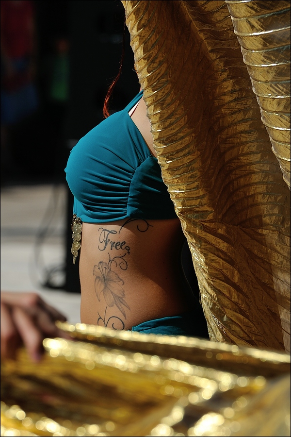 comp DSC 2637