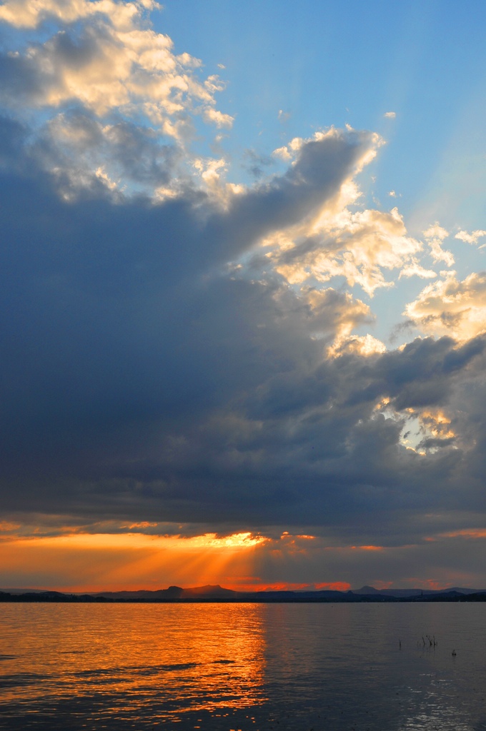 comp DSC 2838