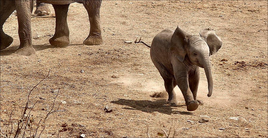 comp DSC 2866ä