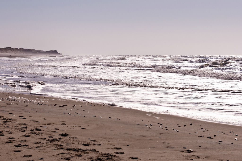 comp DSC 2881