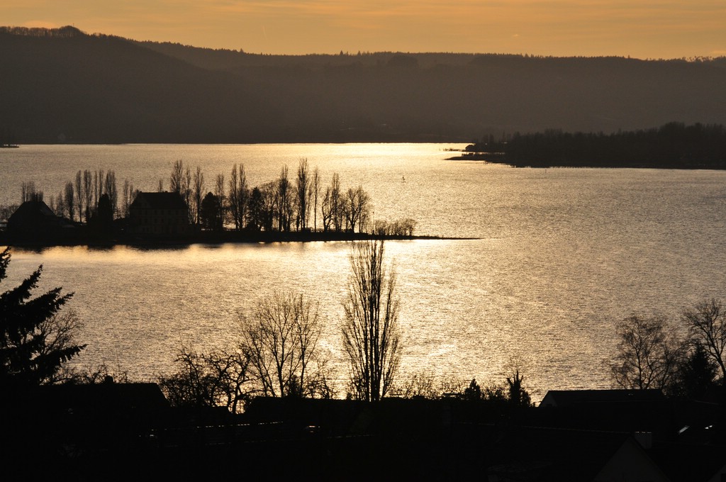 comp DSC 2941