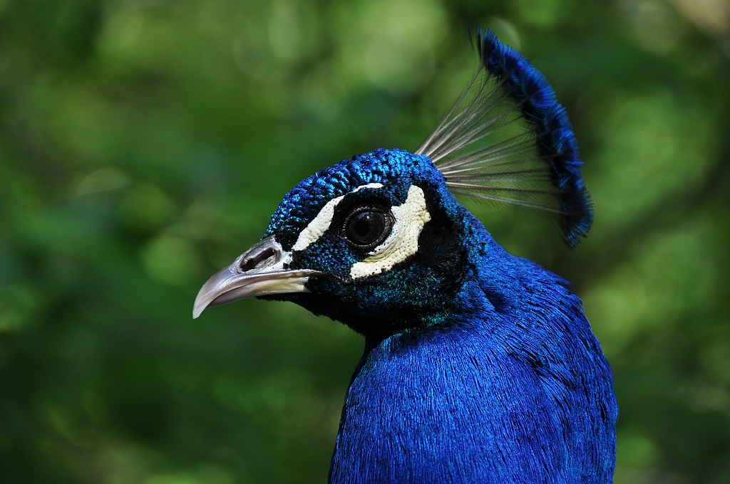 comp DSC 2949
