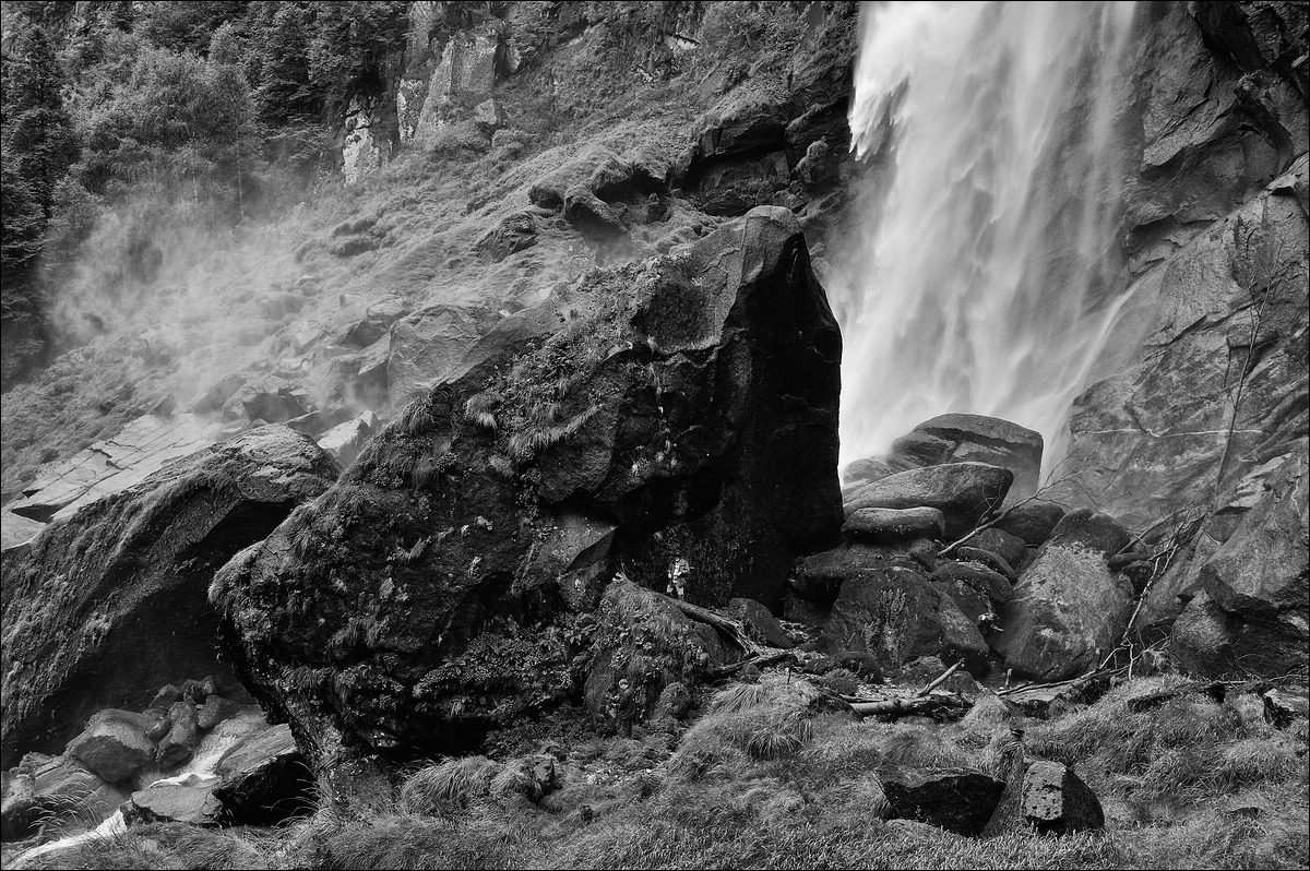 comp DSC 2951SW