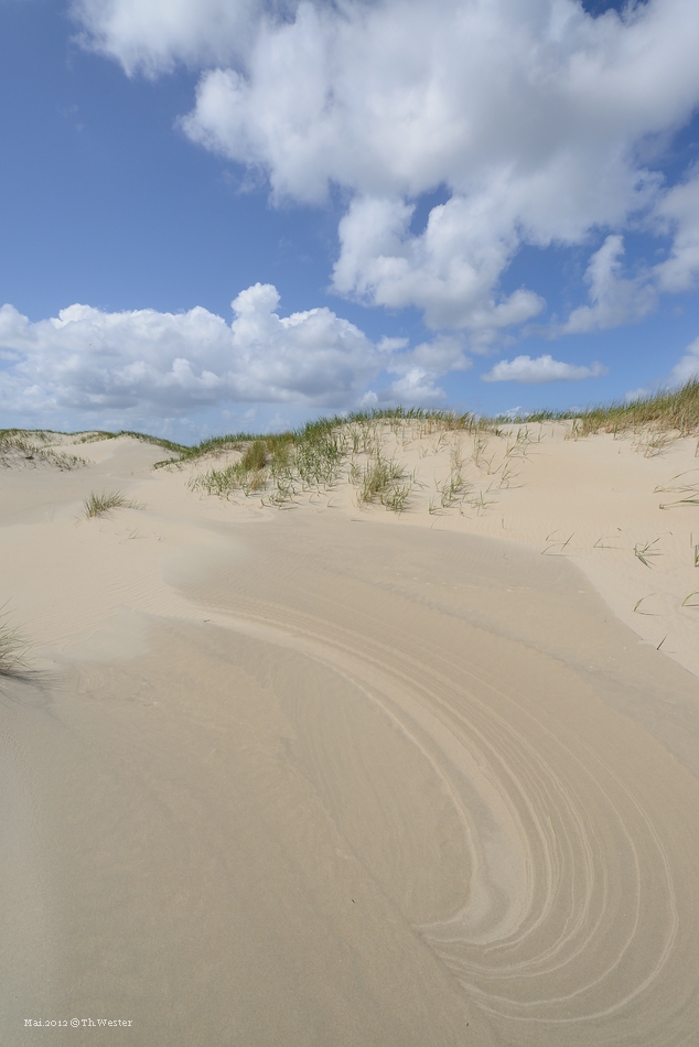 comp DSC 3033