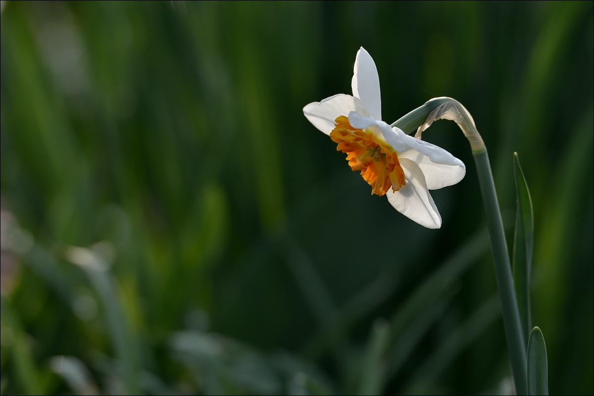 comp DSC 3067