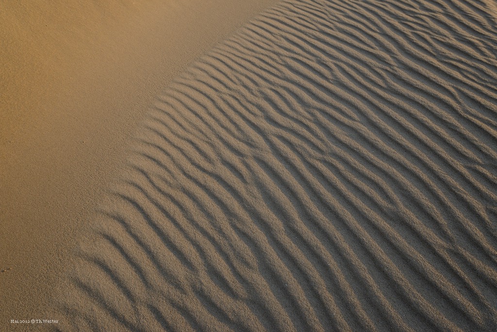 comp DSC 3151