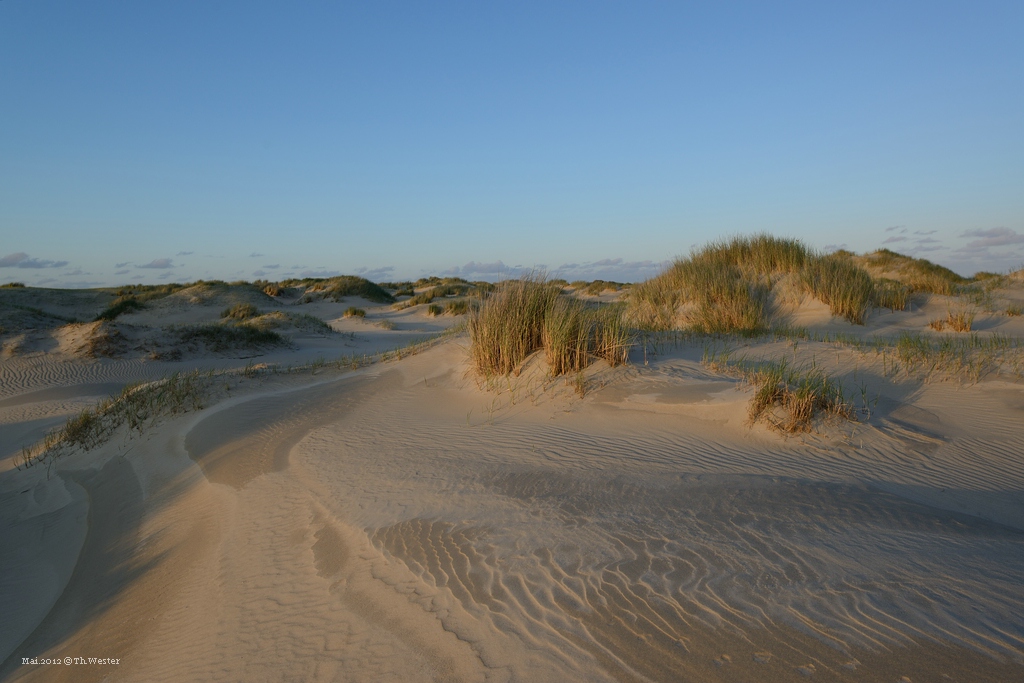 comp DSC 3160