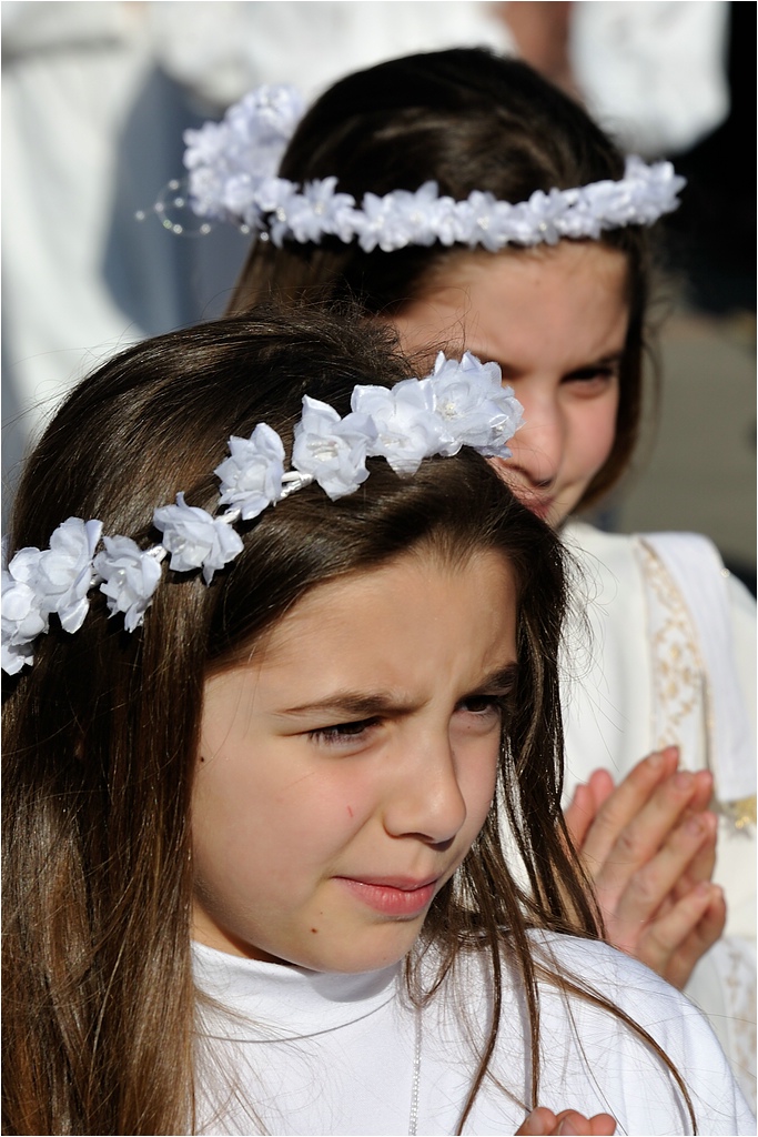comp DSC 3265
