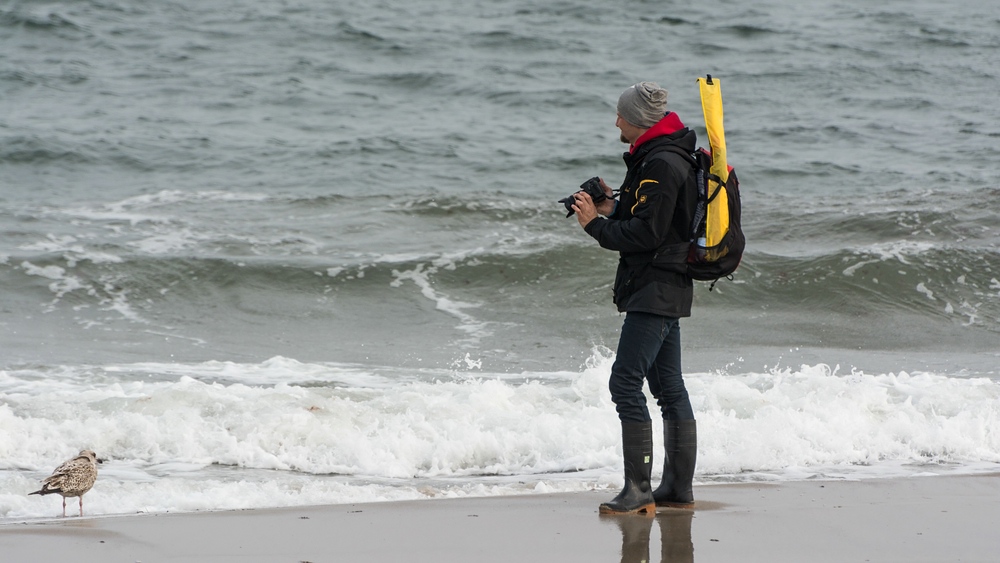 comp DSC 3348123