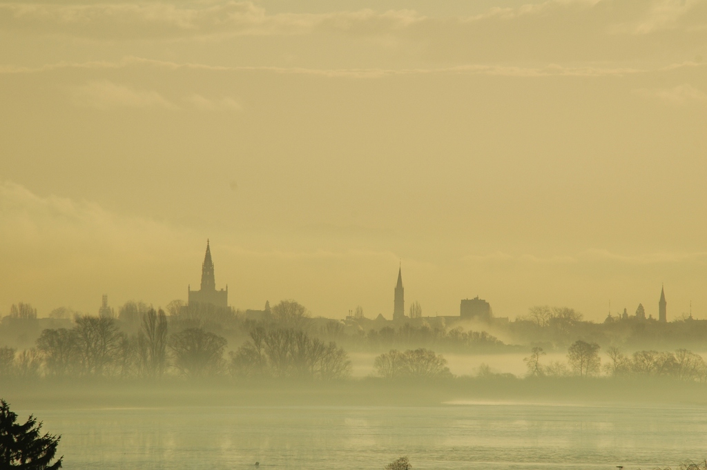 comp DSC 3350