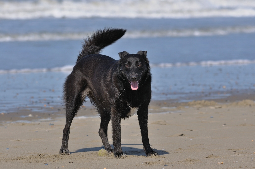 comp DSC 3552 bearbeitet