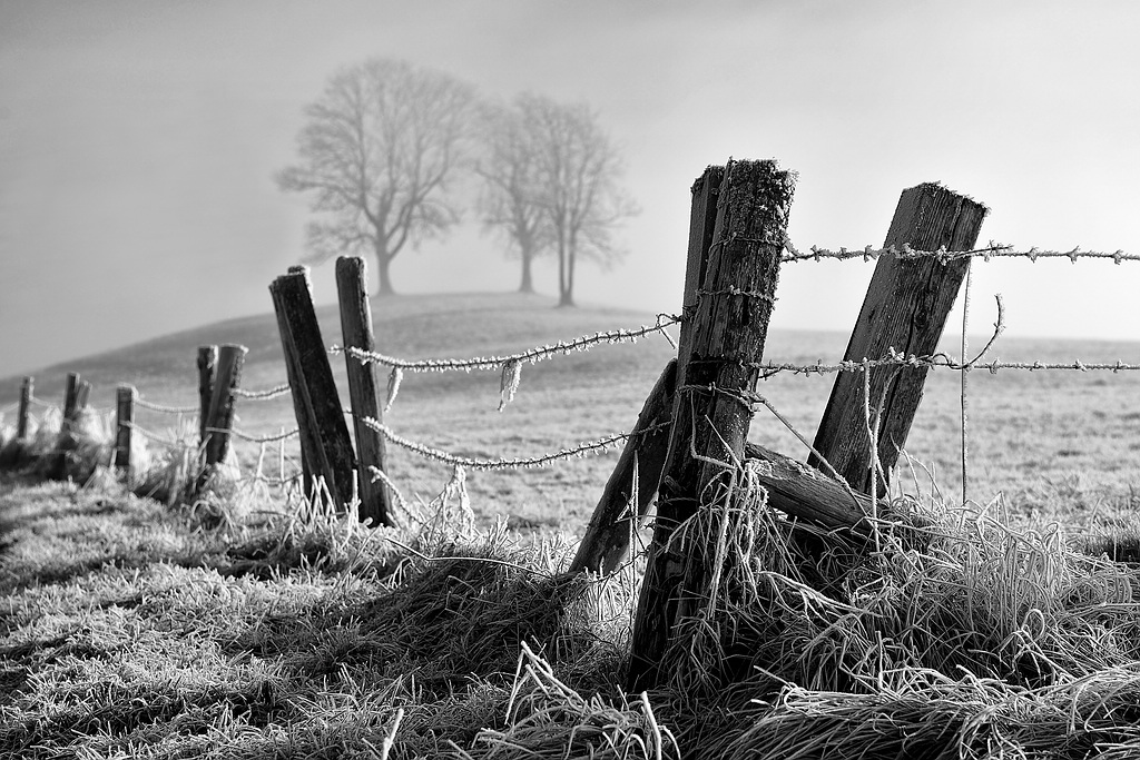 comp DSC 3598   2