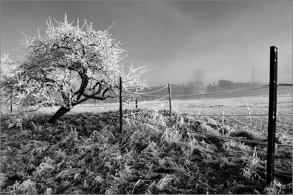 comp DSC 3605 SW