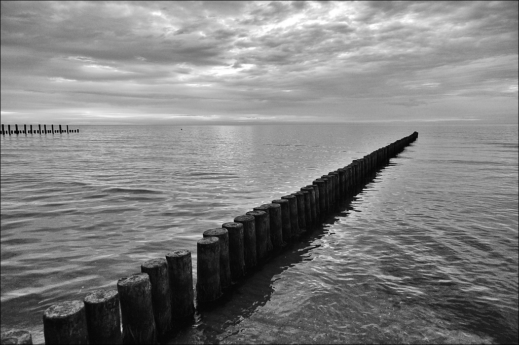comp DSC 4008