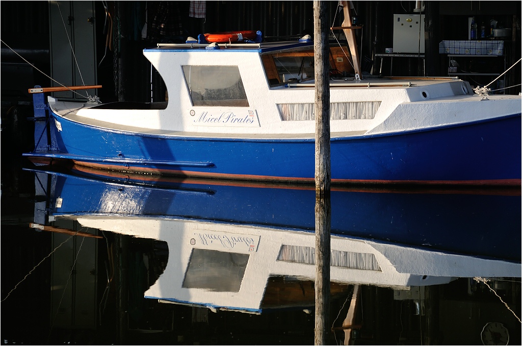 comp DSC 4241