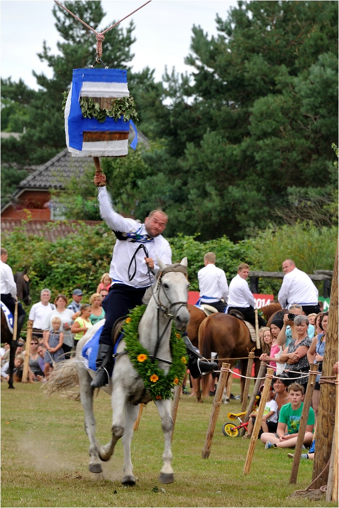 comp DSC 4347