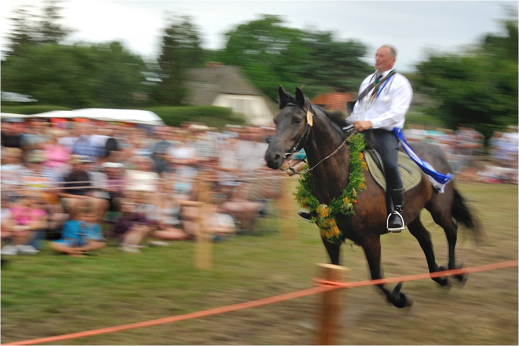 comp DSC 4356