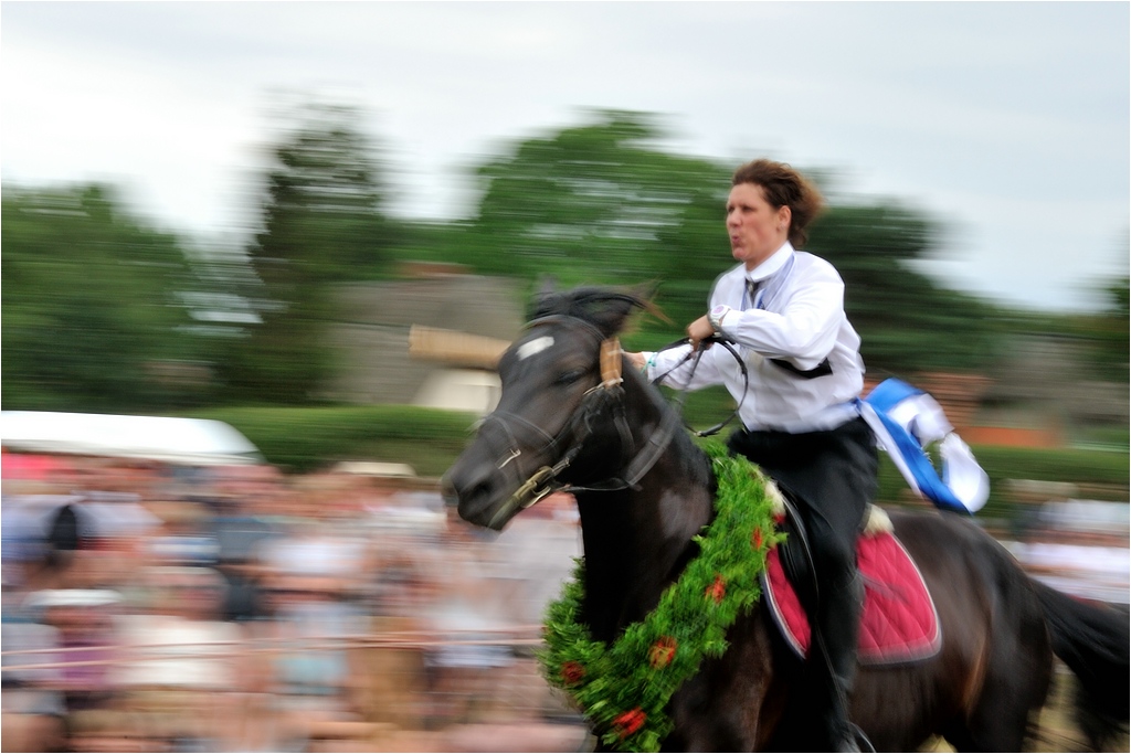 comp DSC 4358