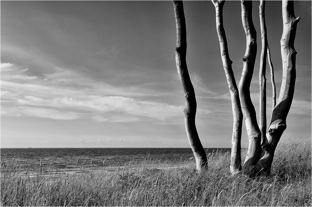 comp DSC 4567 bearbeitet 4
