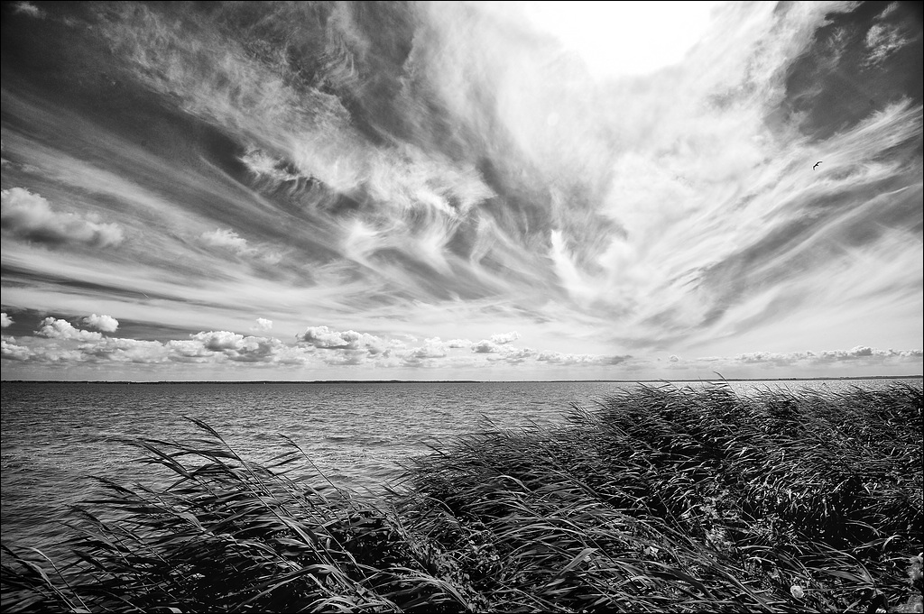 comp DSC 4774   SW