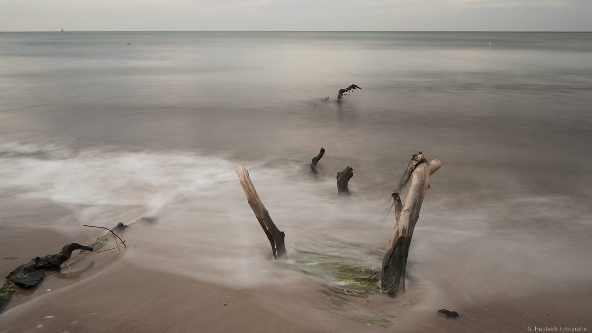 comp DSC 4881