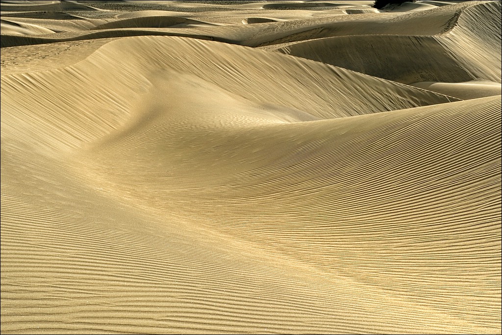 comp DSC 5256