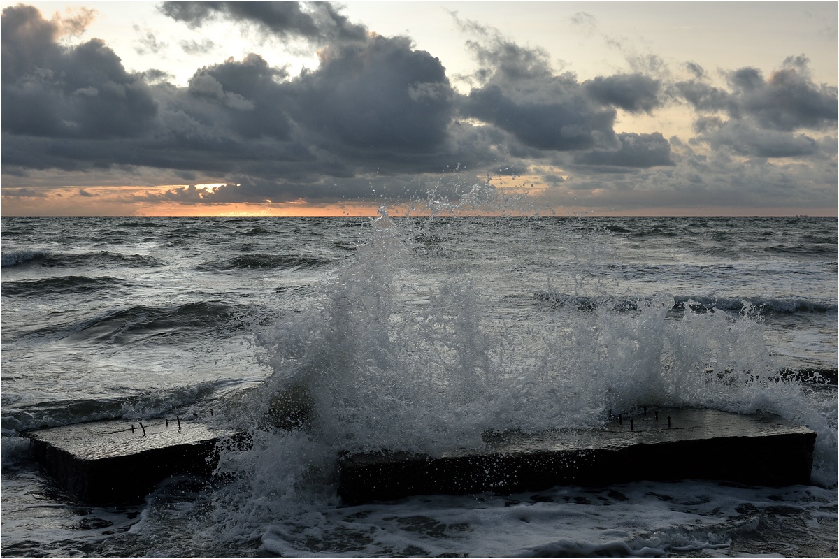 comp DSC 5308