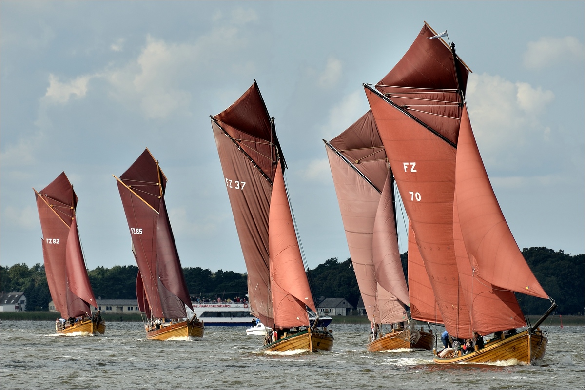 comp DSC 5454