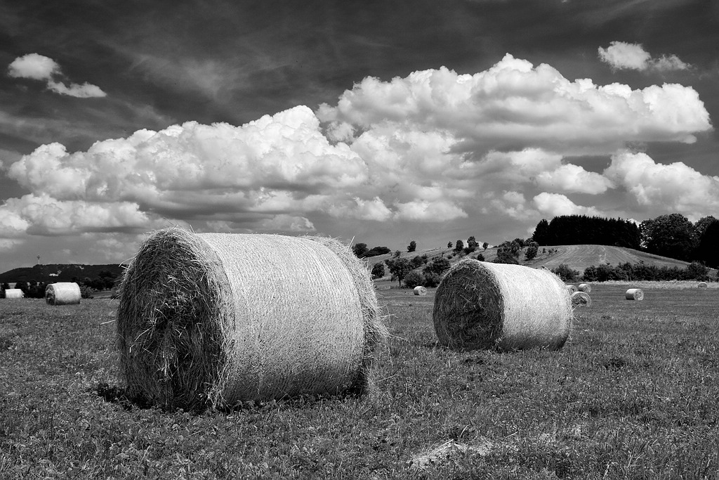 comp DSC 5475 SW2