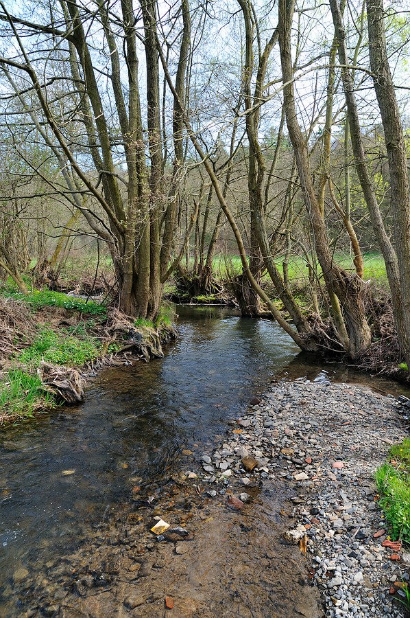 comp DSC 5630