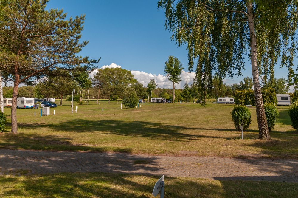 comp DSC 5704123