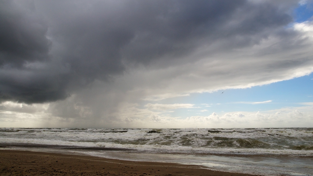 comp DSC 5900123
