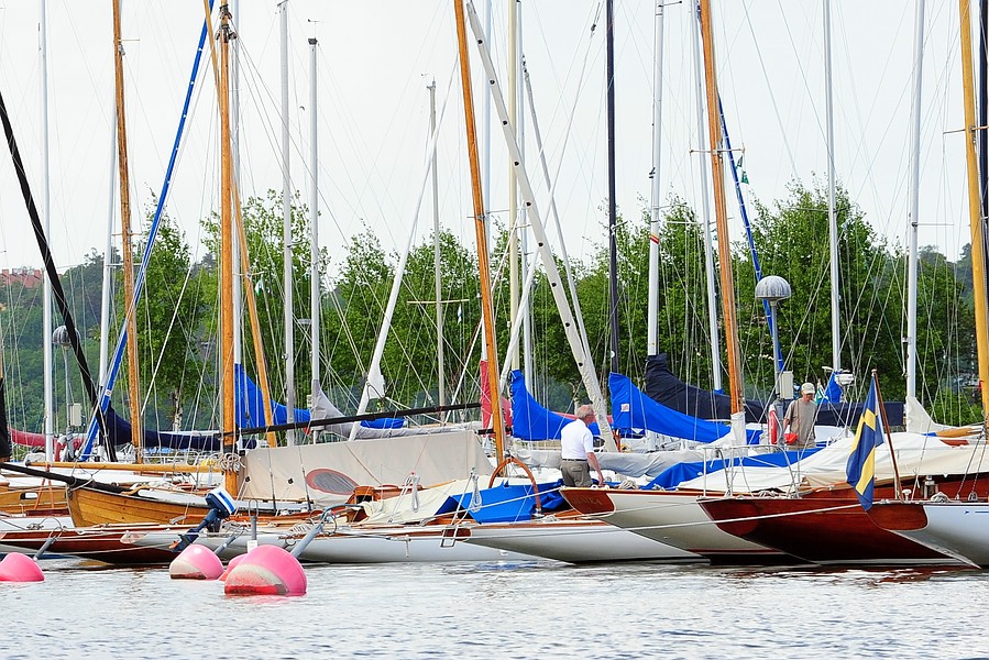 comp DSC 6169
