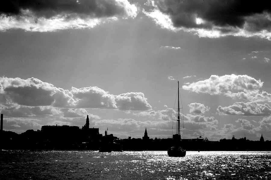 comp DSC 6192