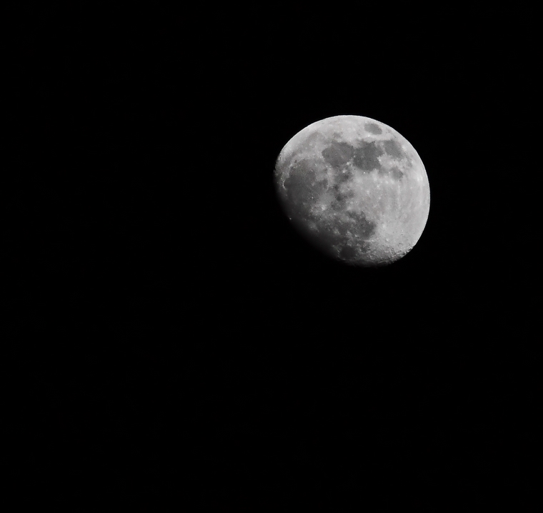 comp DSC 6497