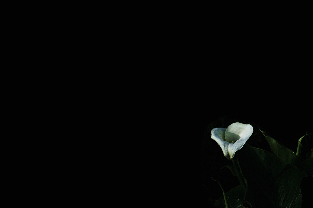 comp DSC 7143