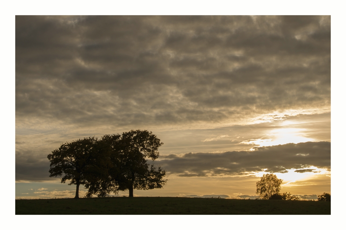 comp DSC 7149