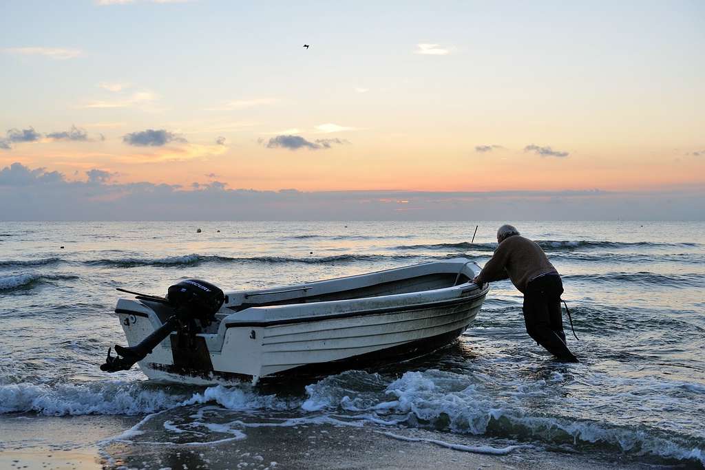 comp DSC 7161