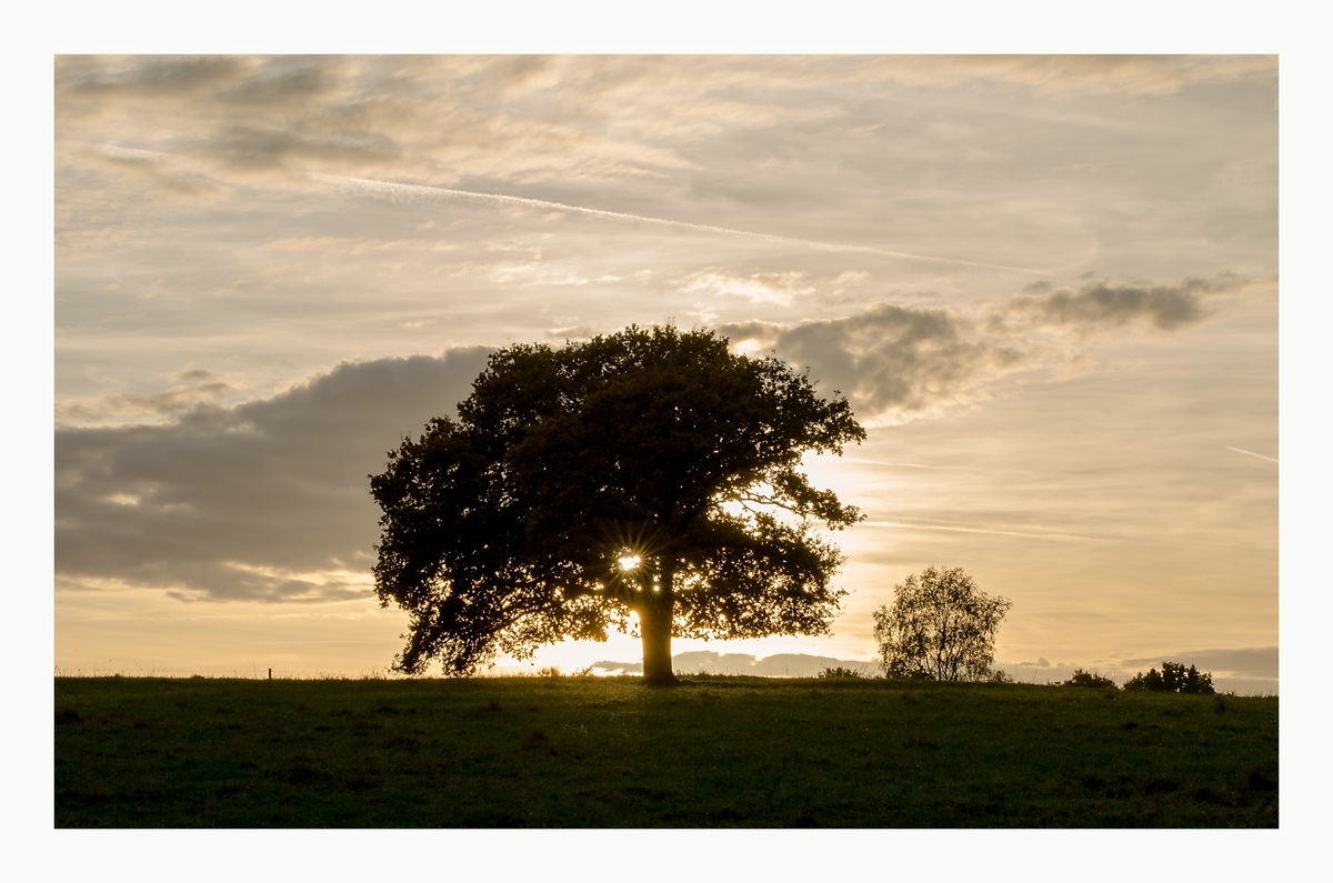 comp DSC 7163