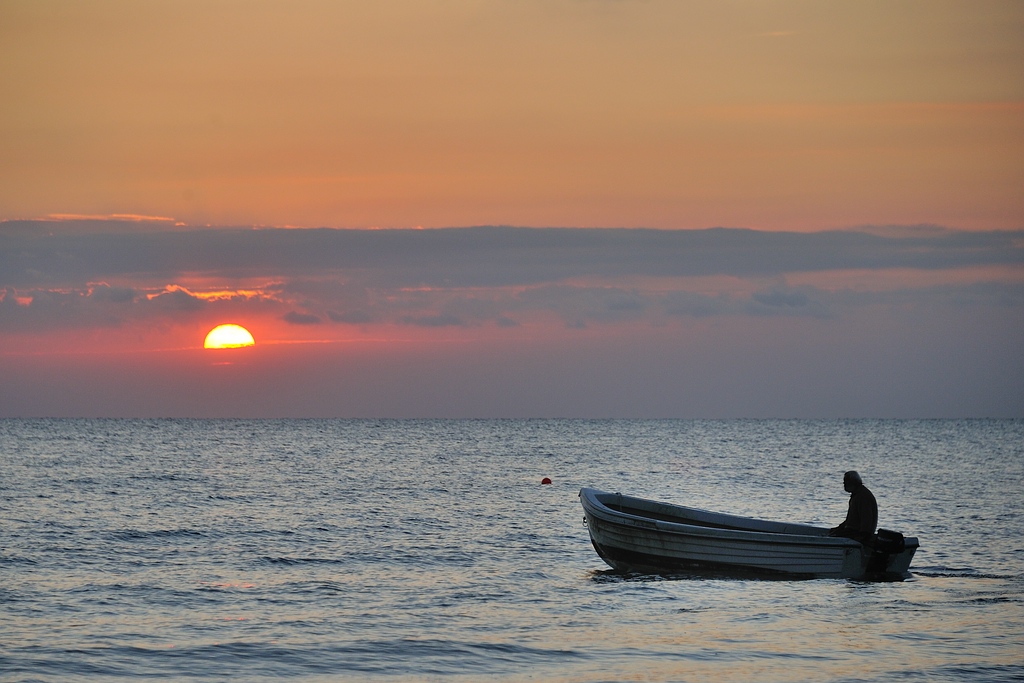 comp DSC 7167