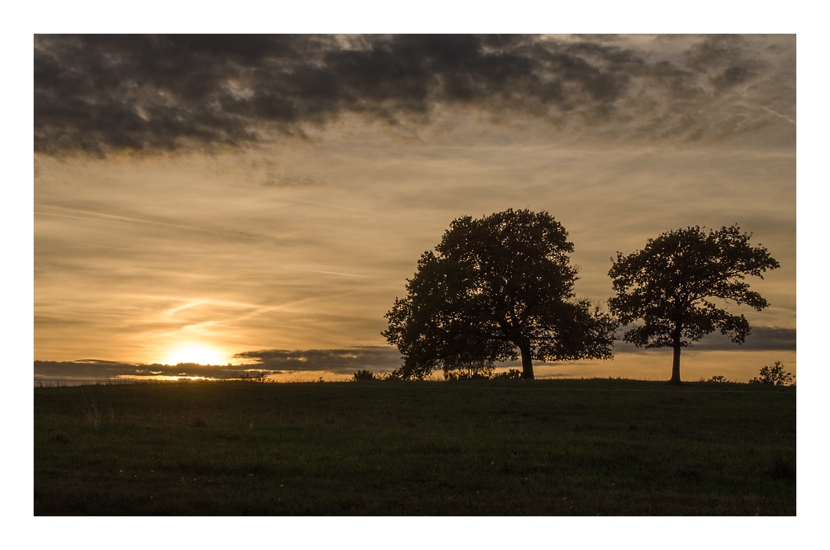 comp DSC 7187 200px