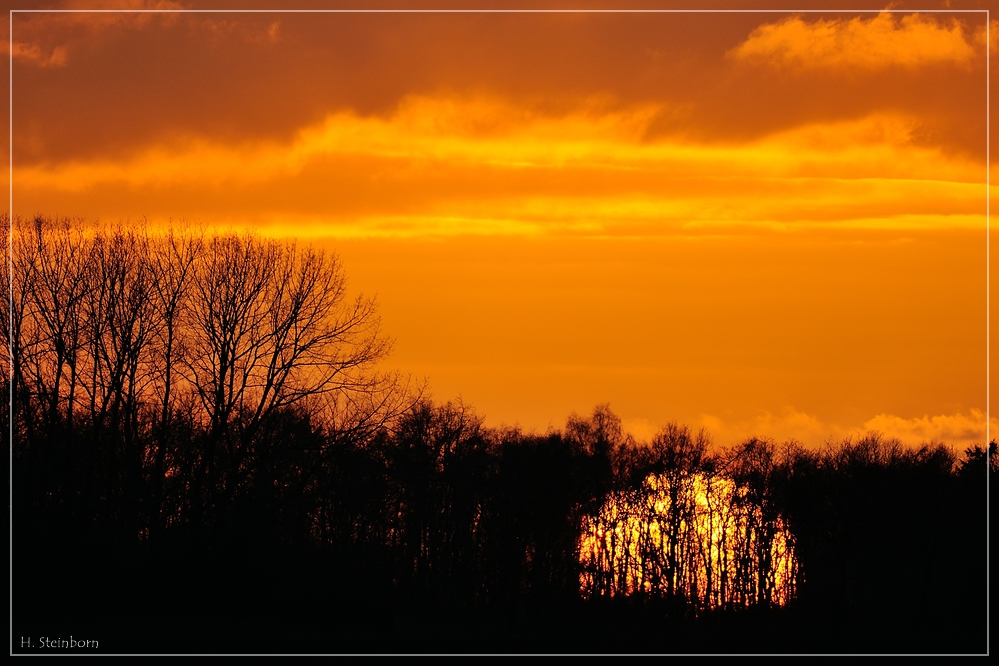 comp DSC 7374