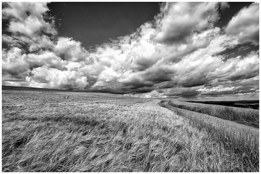 comp DSC 7460   1 SW